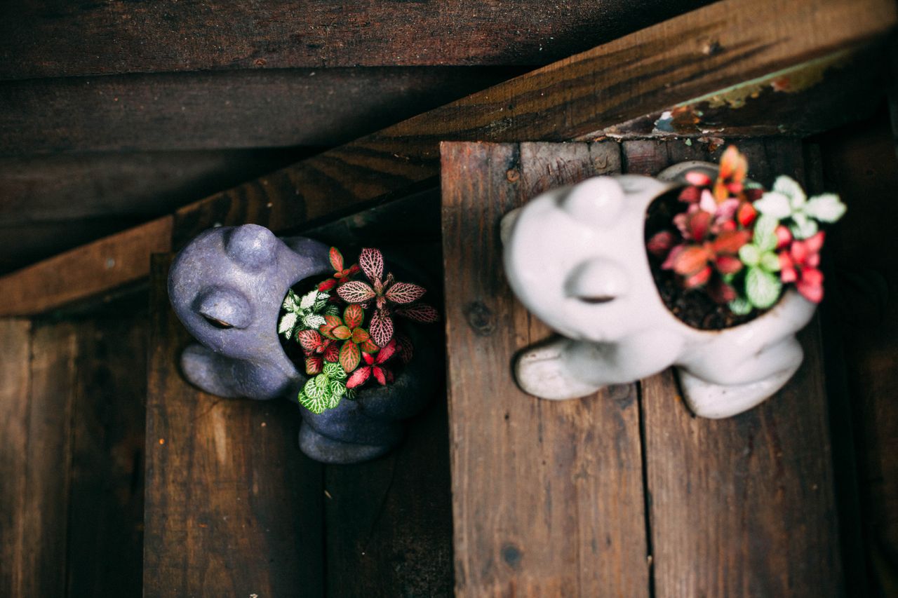 Low Planter, a vases & planter in 3 glazes